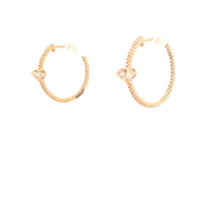 Elegant Gold Hoop Earrings