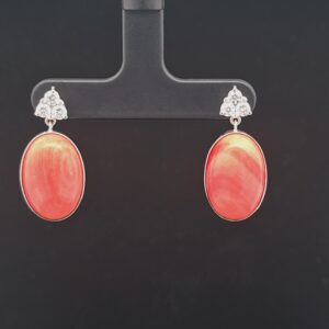 Elegant Coral Earrings